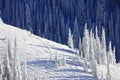 Skier On Snow Covered Mountainside Royalty Free Stock Photo