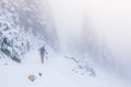A skier walking in snow forest with a lot fog Royalty Free Stock Photo