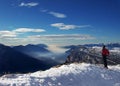 Skier and winter alpine