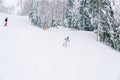 Skiers in colorful ski suits descend the mountainside along the edge of the forest Royalty Free Stock Photo