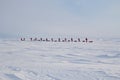 Skiers go to the North pole from Russian ice camp