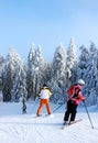 Skiers on a ski slope, snow covered tree in the back