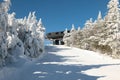 Skiers on slope and ski lift with snow covered trees chairlift at background