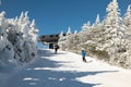 Skiers on slope and ski lift with snow covered trees chairlift at background