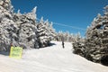 Skiers on slope and ski lift with snow covered trees chairlift at background