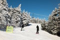 Skiers on slope and ski lift with snow covered trees chairlift at background