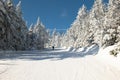 Skiers on slope and ski lift with snow covered trees chairlift at background