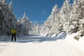 Skiers on slope and ski lift with snow covered trees chairlift at background