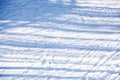 skiers on a snow slope for beginners on a sunny day.