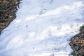 skiers on a snow slope for beginners on a sunny day.