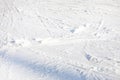 skiers on a snow slope for beginners on a sunny day.