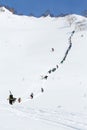 Skiers and snowboarders climbing the steep mountain for freeride