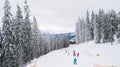 Skiers and snowboarders go down the slope in a ski resort Bukovel, Ukraine Royalty Free Stock Photo