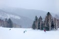 Skiers and snowboarders going down the slope at forest ski resort Royalty Free Stock Photo