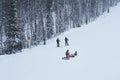 Skiers and snowboarders ride and take pictures on a snowy slope among the forest