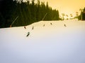 Skiers and snowboarders riding on a ski slope