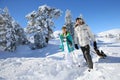 Skiers walking in the snow Royalty Free Stock Photo