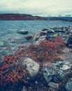 Skiftessjoen lake in the Hardangervidda National Park in Norway in Scandinavia Royalty Free Stock Photo