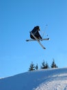 Skiier