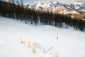 Skiing alone in a valley with forest and mountain summits and clouds