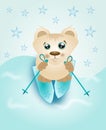 Skiing bear