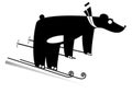 Skiing bear black on white illustration