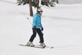 Skiing on a beautiful snow forest landscape. Winter sport