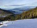 Skiing on Cypress Mountain during the peak of the winter season.