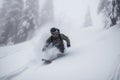 Skiing in the Deep Powder Snow Royalty Free Stock Photo