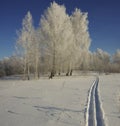 Skiing in deep snow in a winter forest on a sunny day