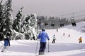 Skiing Downhill