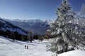 Skiing in Nendaz Switzerland Royalty Free Stock Photo