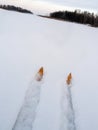 Skiing in powder snow.