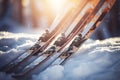 Skiing Serenity: Skis in the Snow