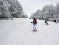 Skiing, skier, winter sport - woman skiing downhill Royalty Free Stock Photo