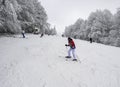 Skiing, skier, winter sport - woman skiing downhill Royalty Free Stock Photo