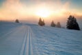 Skiing snow path and sunlight Royalty Free Stock Photo