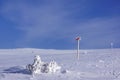 Skiing into the wild in Sweden