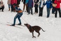 Skijoring