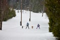 Skijoring dog sport racing