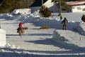 Skijoring fun in the wintertime