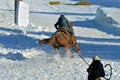 Wintertime Skijoring in western USA.