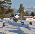 Wintertime Skijoring in Montana USA.