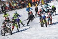 Skijoring in Gosau Gmunden District, Salzkammergut, Upper Austria, Austria