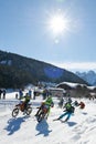 Skijoring in Gosau Gmunden District, Salzkammergut, Upper Austria, Austria