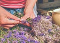 Skilful hands of girl putting blossoms of lavender into bouquet.