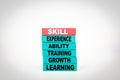 Skill Business Concept With Colorful Wooden Blocks Royalty Free Stock Photo