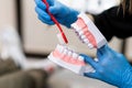 Skilled dentist in gloves explaining teeth brushing to children at health lesson in medical office