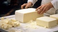 skilled factory cheese production