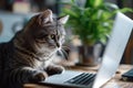 A Skilled Feline Engineer Focuses On Work While Using A Notebook